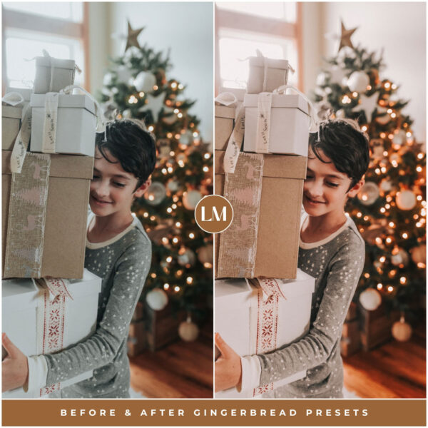Gingerbread Preset Collection By Primosy - Image 8
