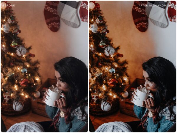 Rich Holiday Preset Collection By Primosy - Image 6