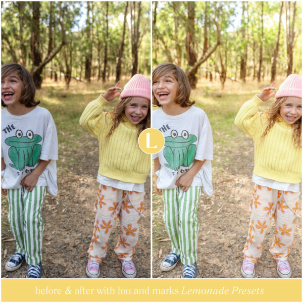 Lemonade Preset Collection By Primosy - Image 6