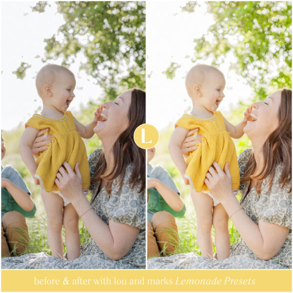 Lemonade Preset Collection By Primosy - Image 2