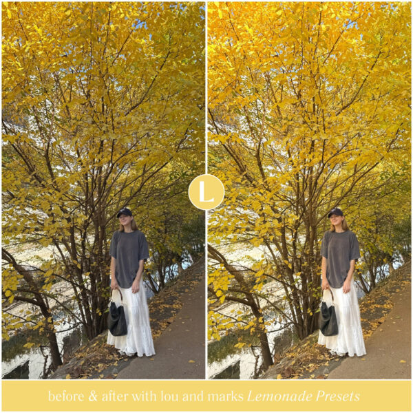 Lemonade Preset Collection By Primosy - Image 10