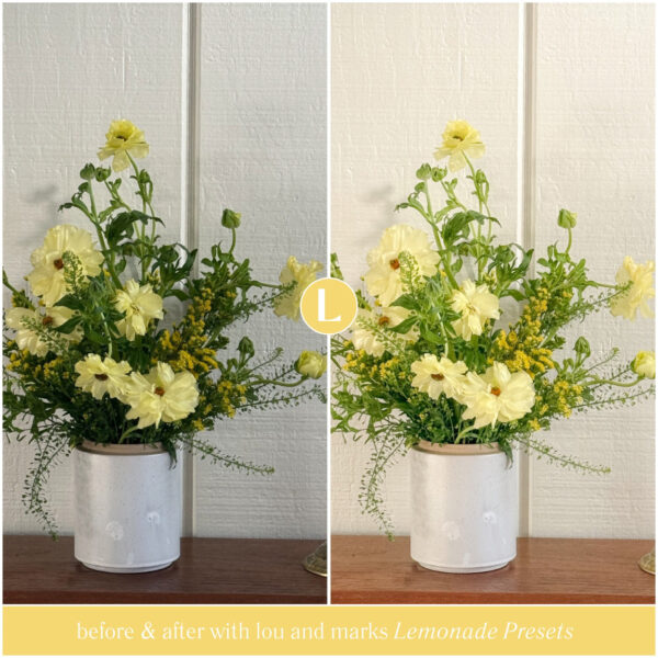 Lemonade Preset Collection By Primosy - Image 3