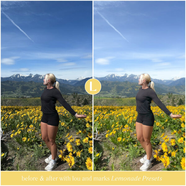 Lemonade Preset Collection By Primosy - Image 12