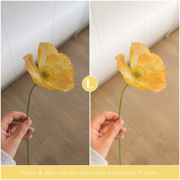 Lemonade Preset Collection By Primosy - Image 14