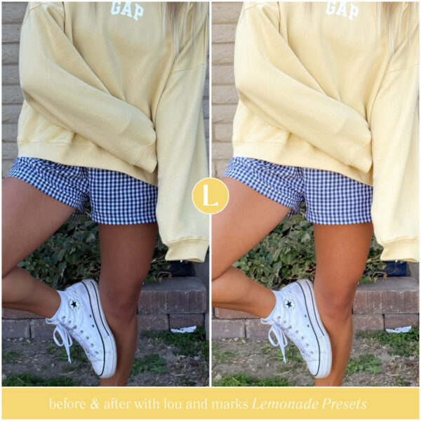 Lemonade Preset Collection By Primosy - Image 15