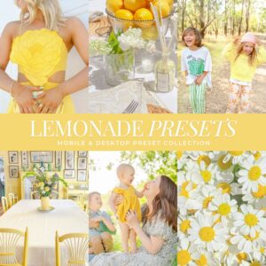 Lemonade Preset Collection By Primosy