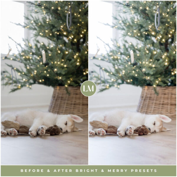 Bright & Merry Preset Collection By Primosy - Image 6