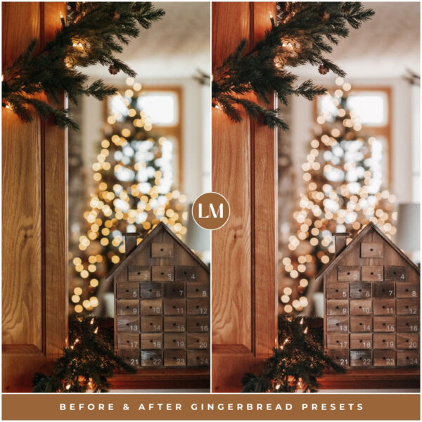 Gingerbread Preset Collection By Primosy - Image 6