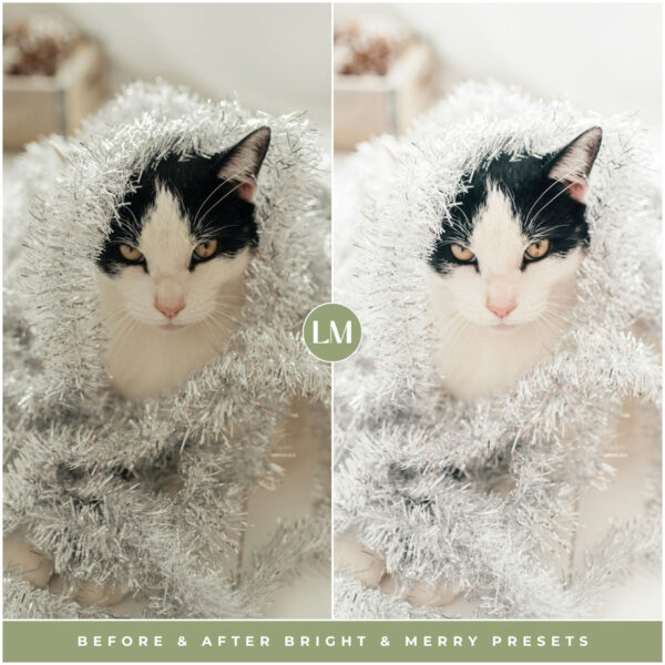 Bright & Merry Preset Collection By Primosy - Image 14