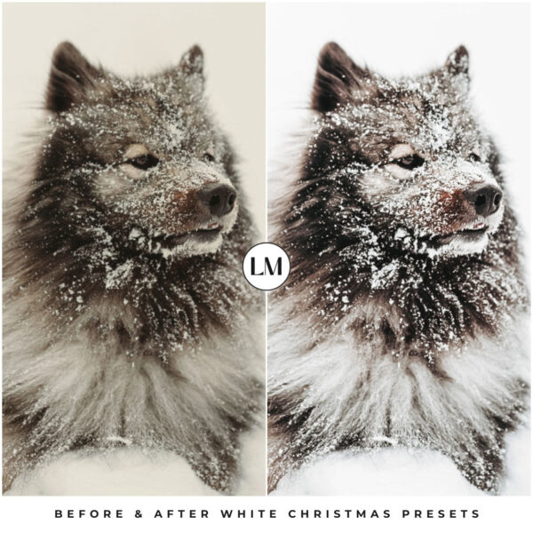 White Christmas Preset Collection By Primosy - Image 11