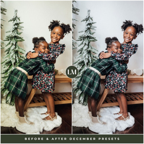 December Preset Collection By Primosy - Image 8