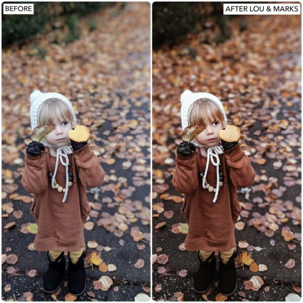 Rich Autumn Preset Collection By Primosy - Image 4