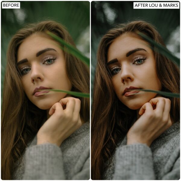 Rich Moody Preset Collection By Primosy - Image 12
