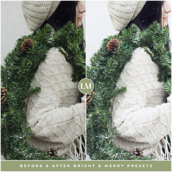 Bright & Merry Preset Collection By Primosy - Image 16