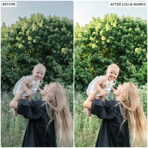 Spring Dream Preset Collection By Primosy - Image 6