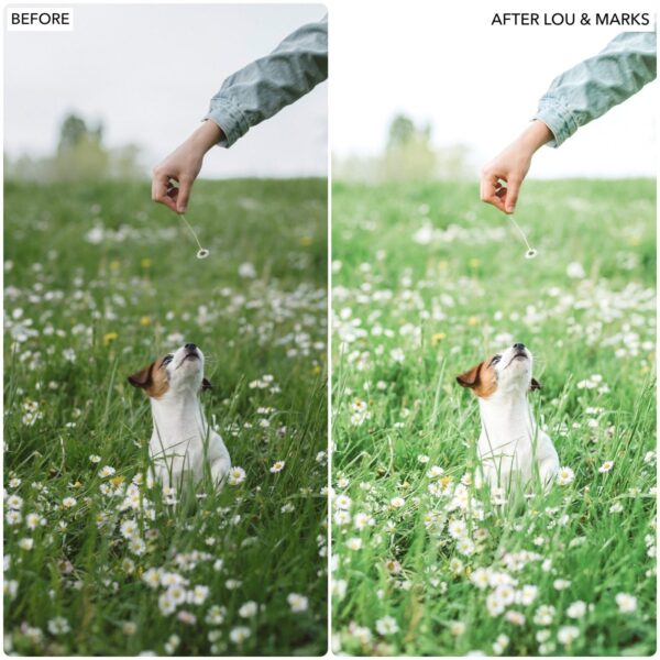 Spring Dream Preset Collection By Primosy - Image 9