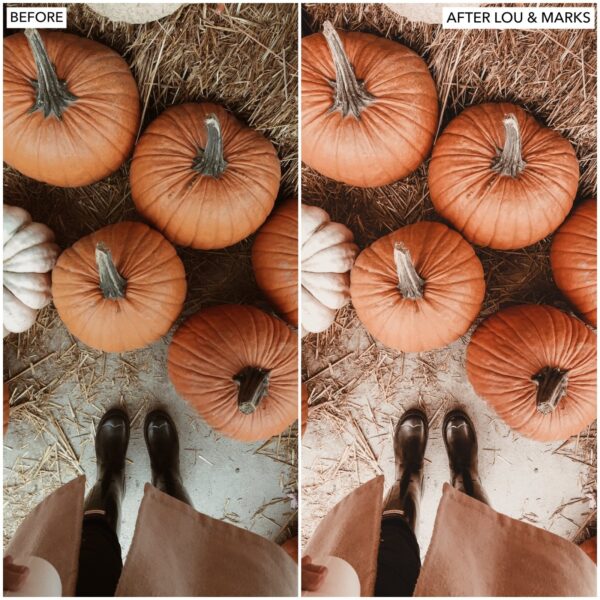 Sweater Weather Preset Collection By Primosy - Image 2