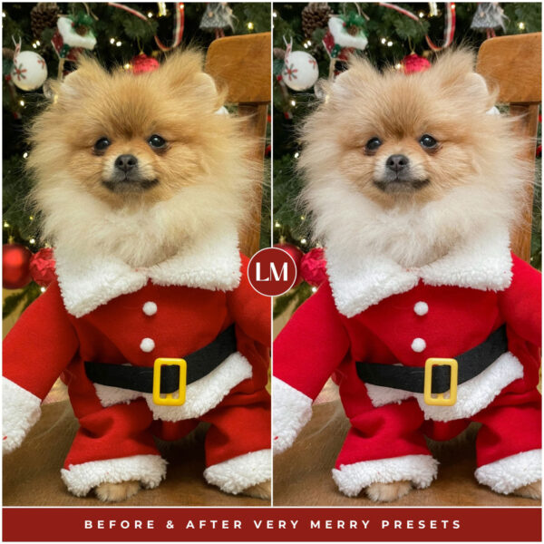 Very Merry Preset Collection By Primosy - Image 5