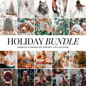 Holiday Preset Bundle By Primosy