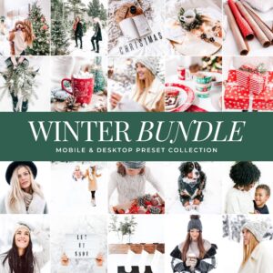Winter Preset Bundle By Primosy