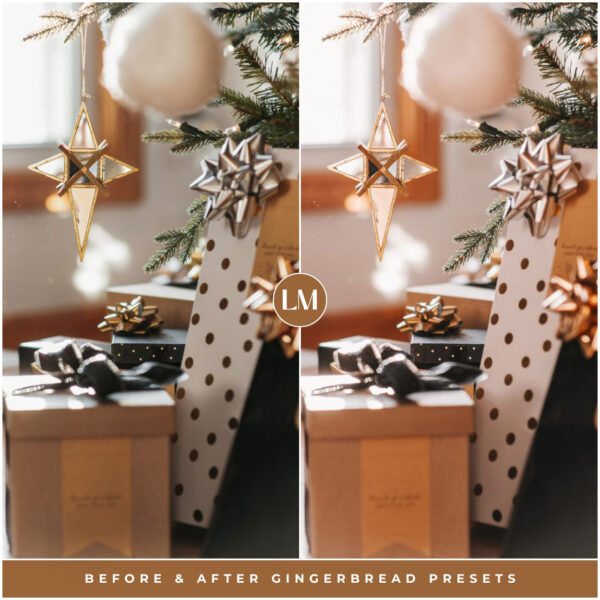 Gingerbread Preset Collection By Primosy - Image 9