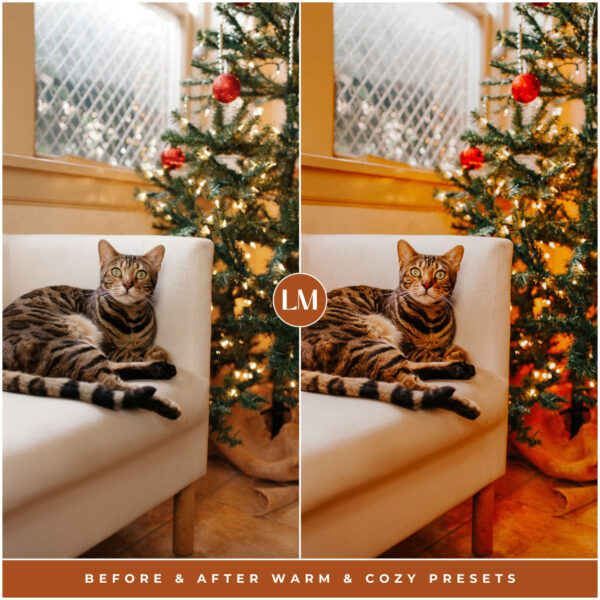 Warm & Cozy Preset Collection By Primosy - Image 6
