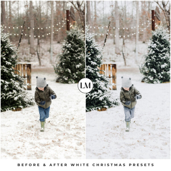 White Christmas Preset Collection By Primosy - Image 5