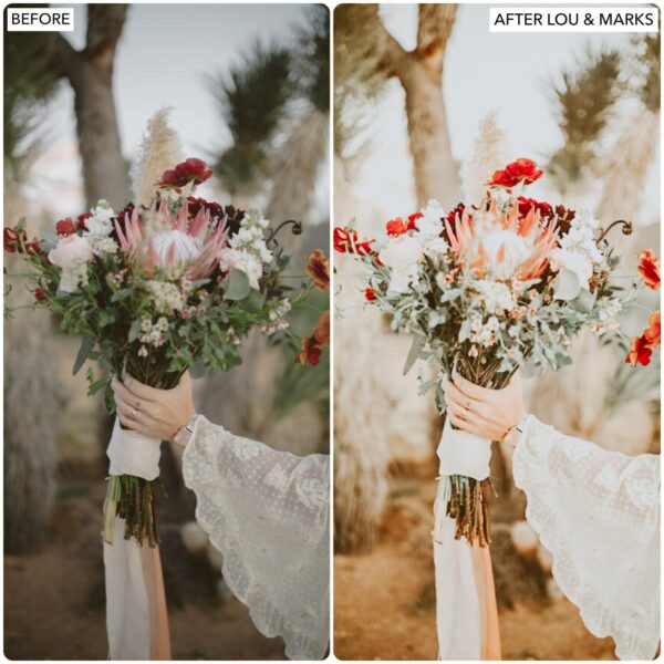 Wonderland Warm Preset Collection By Primosy - Image 2